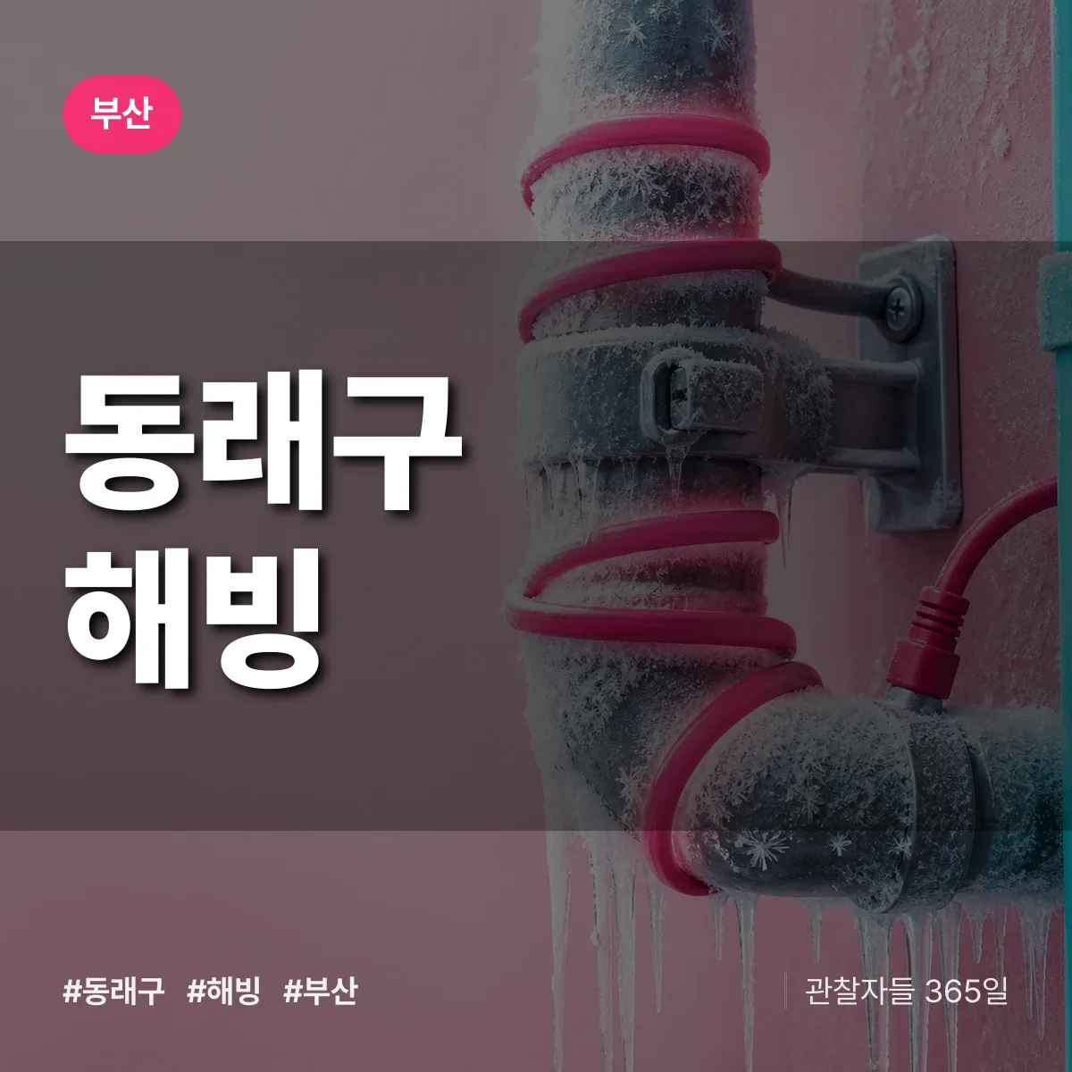 부산 동래구 해빙 배너
