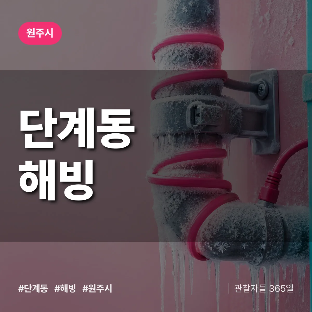 단계동 해빙 배너