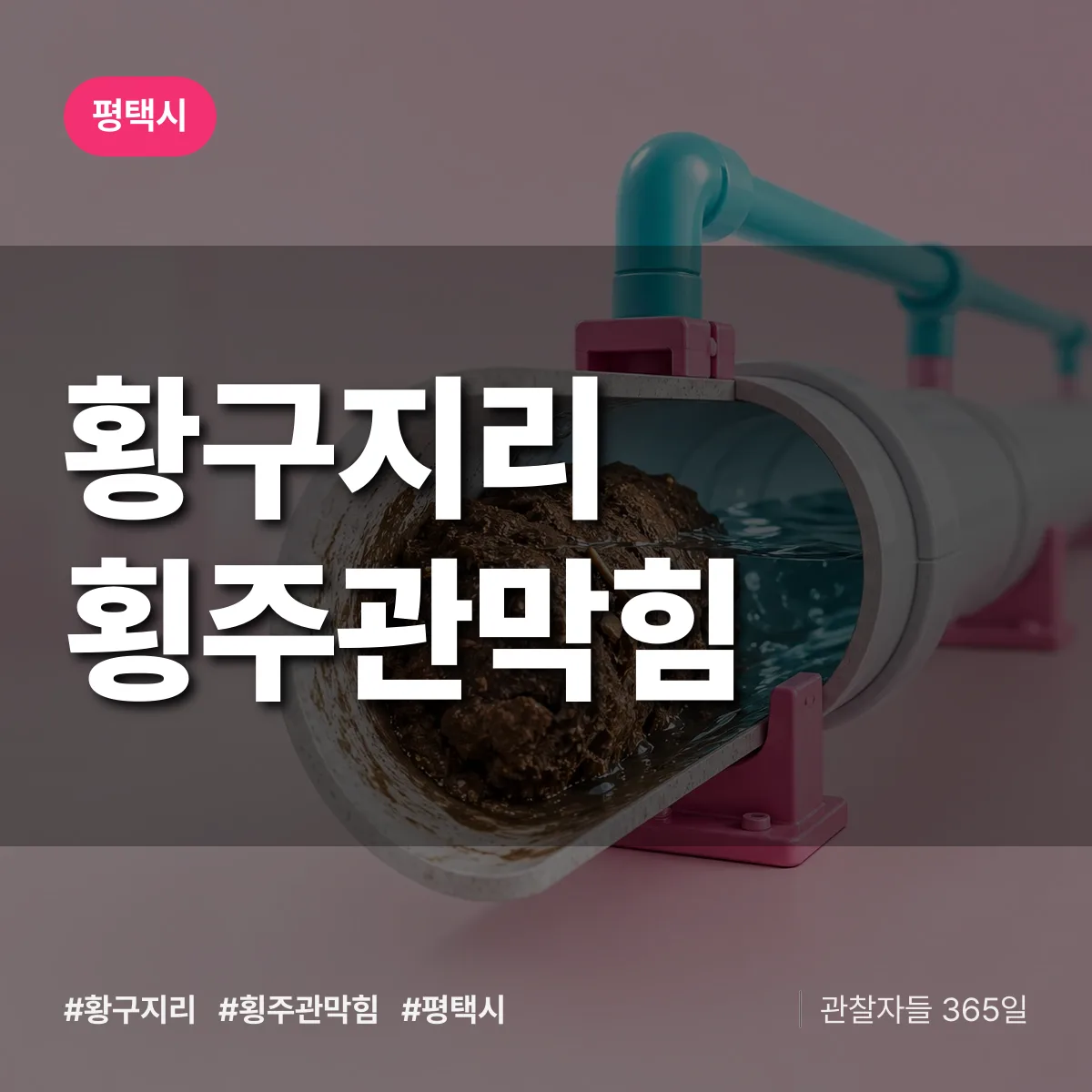 황구지리 횡주관막힘 배너