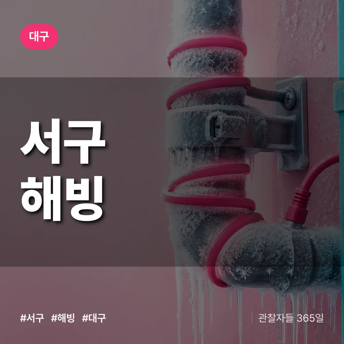 대구 서구 해빙 배너