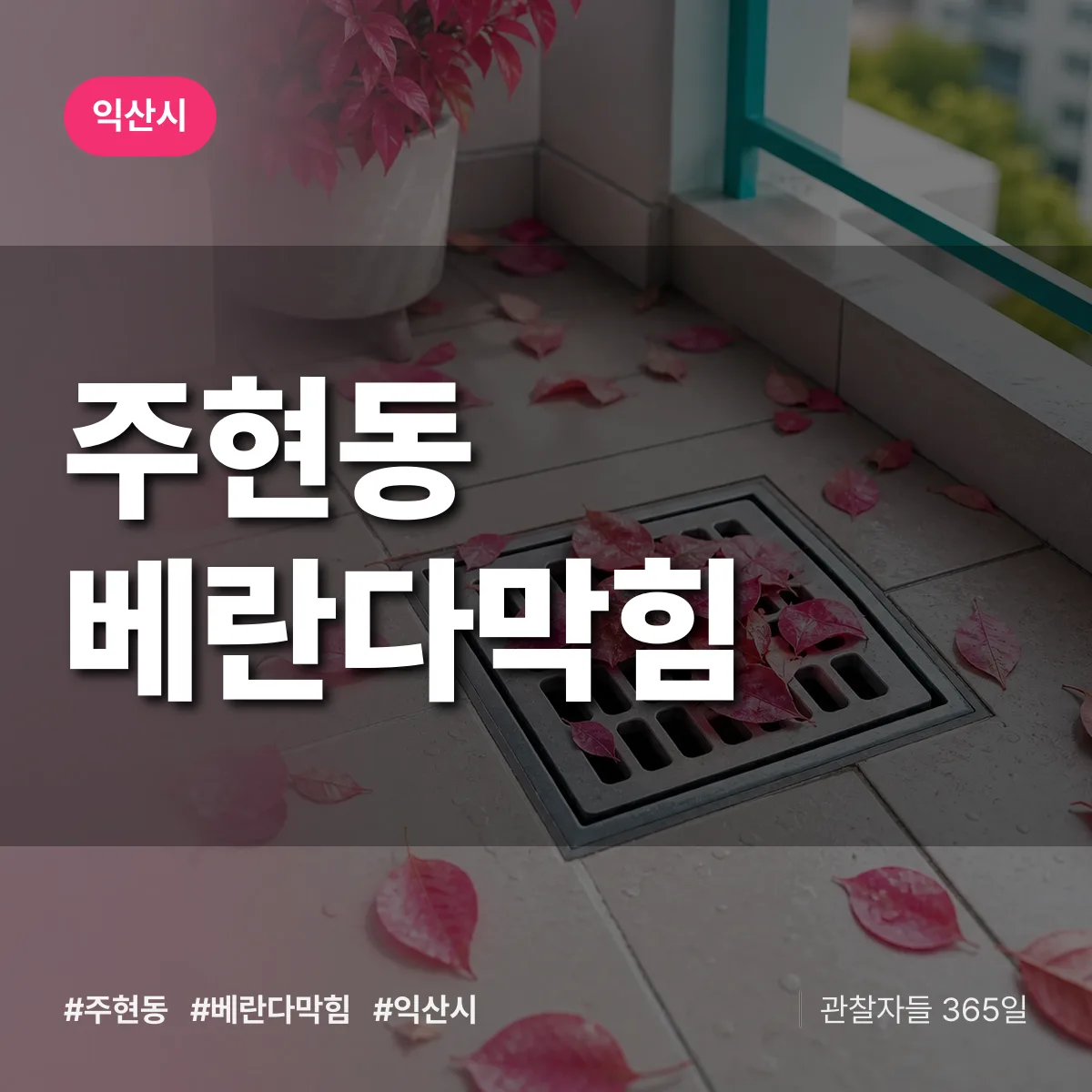 주현동 베란다막힘 배너