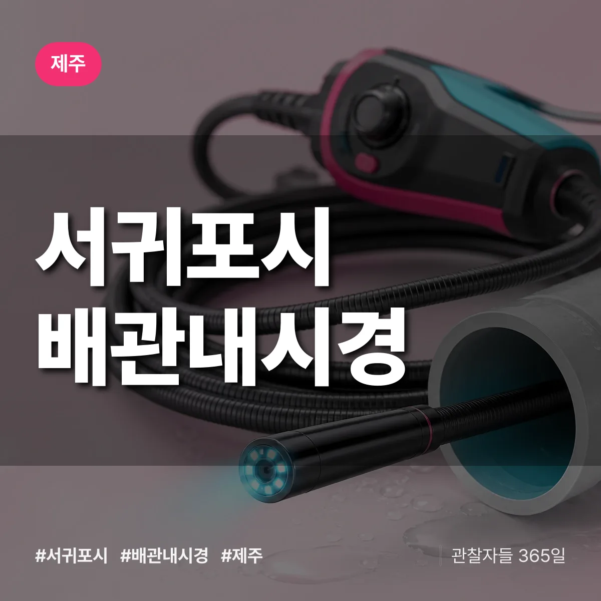 제주 서귀포시 배관내시경 상담 배너