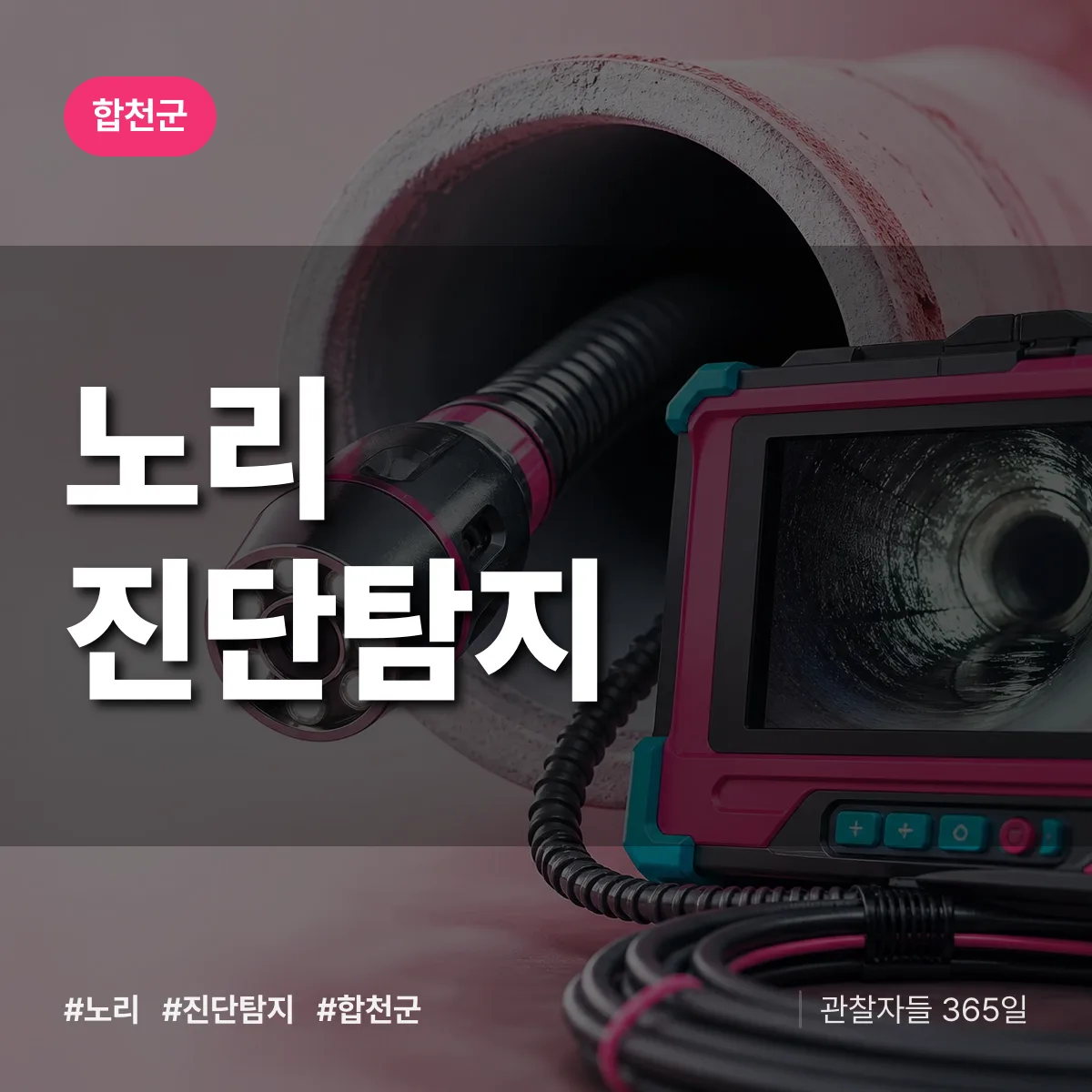 합천군 노리 진단/탐지 상담 배너