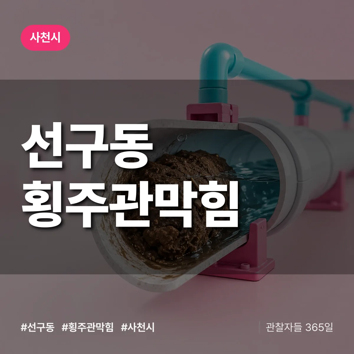 선구동 횡주관막힘 배너