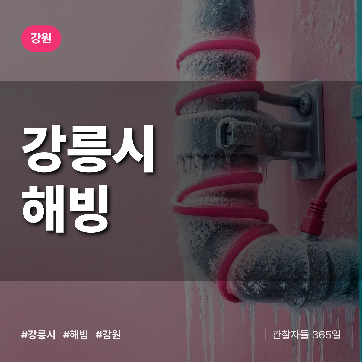 강원 강릉시 해빙 배너