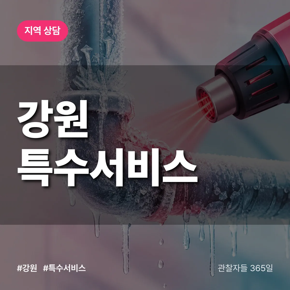 강원 특수서비스 배너