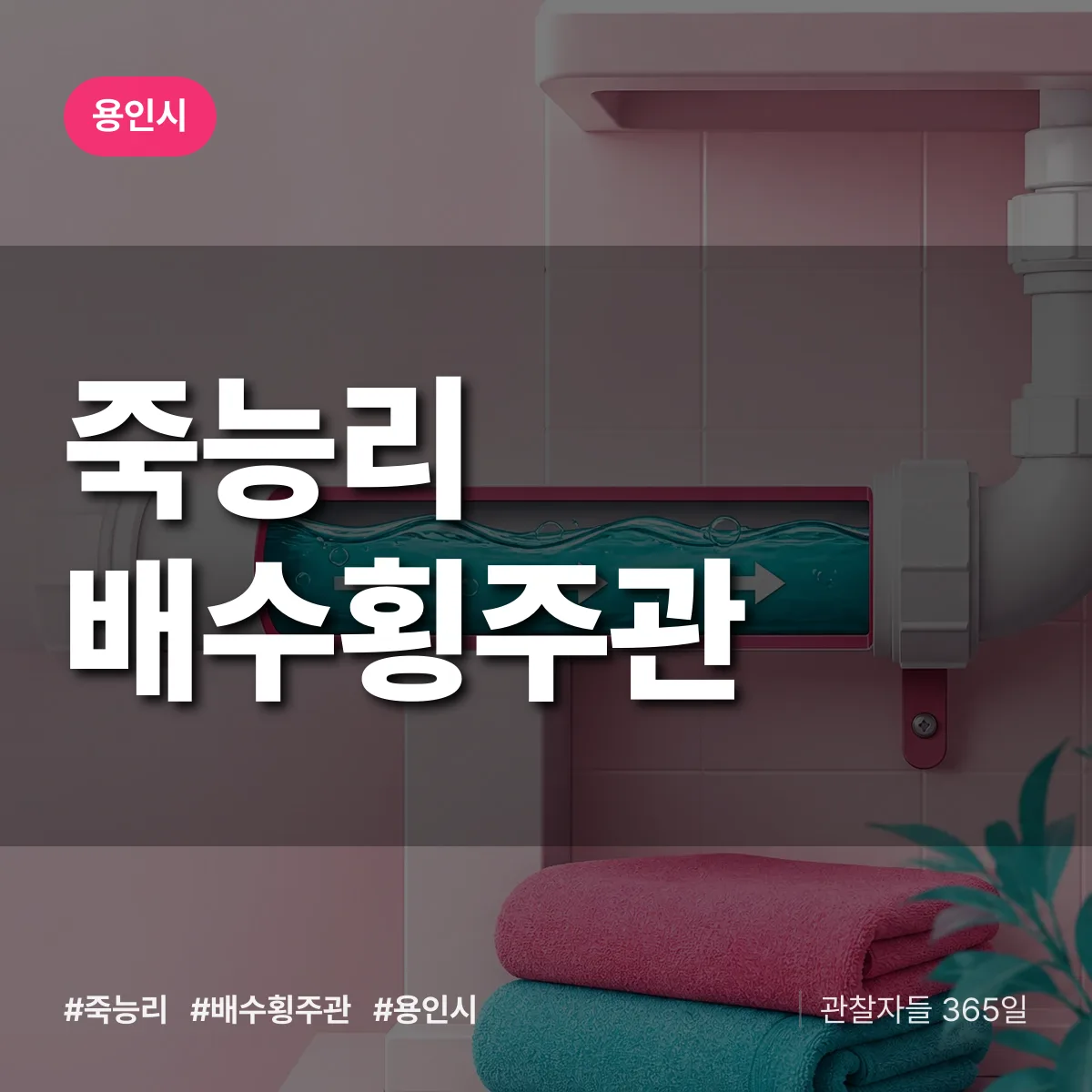 죽능리 배수횡주관 배너