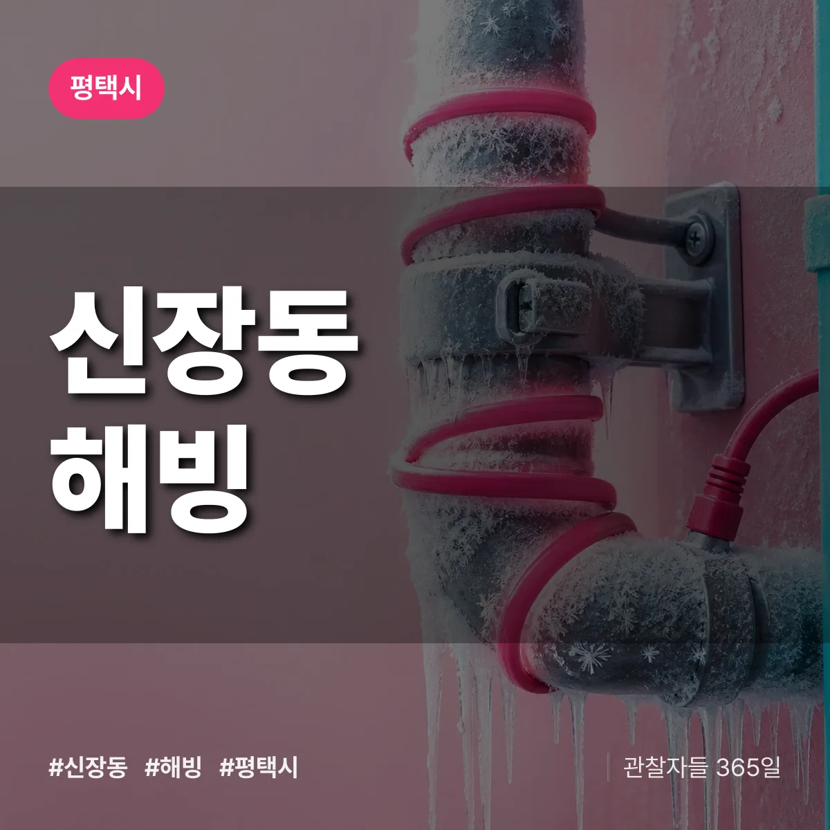 신장동 해빙 배너