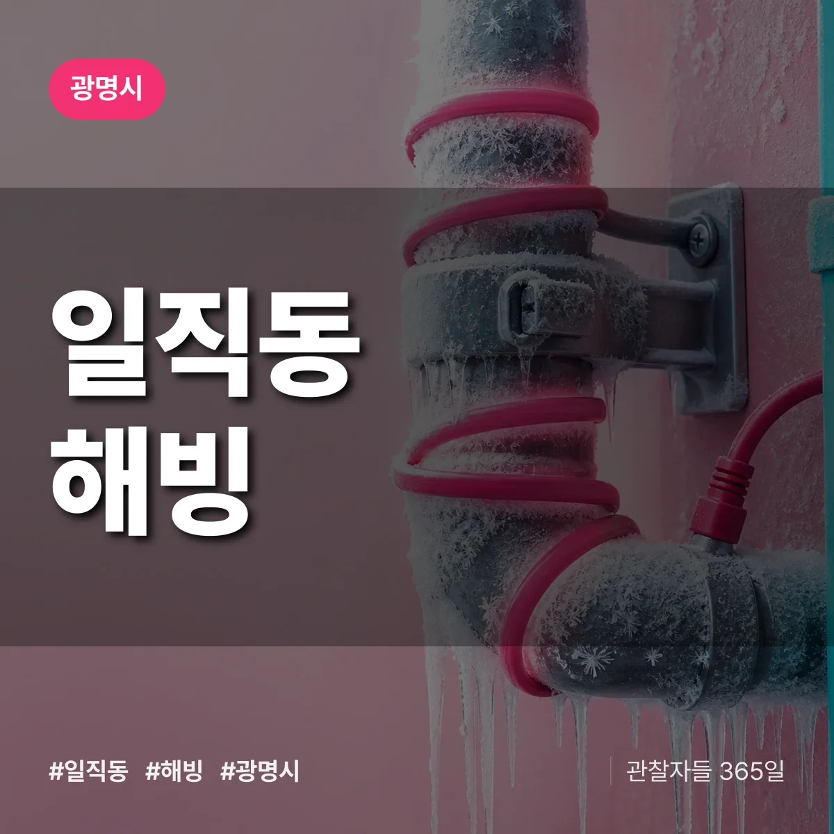 일직동 해빙 배너
