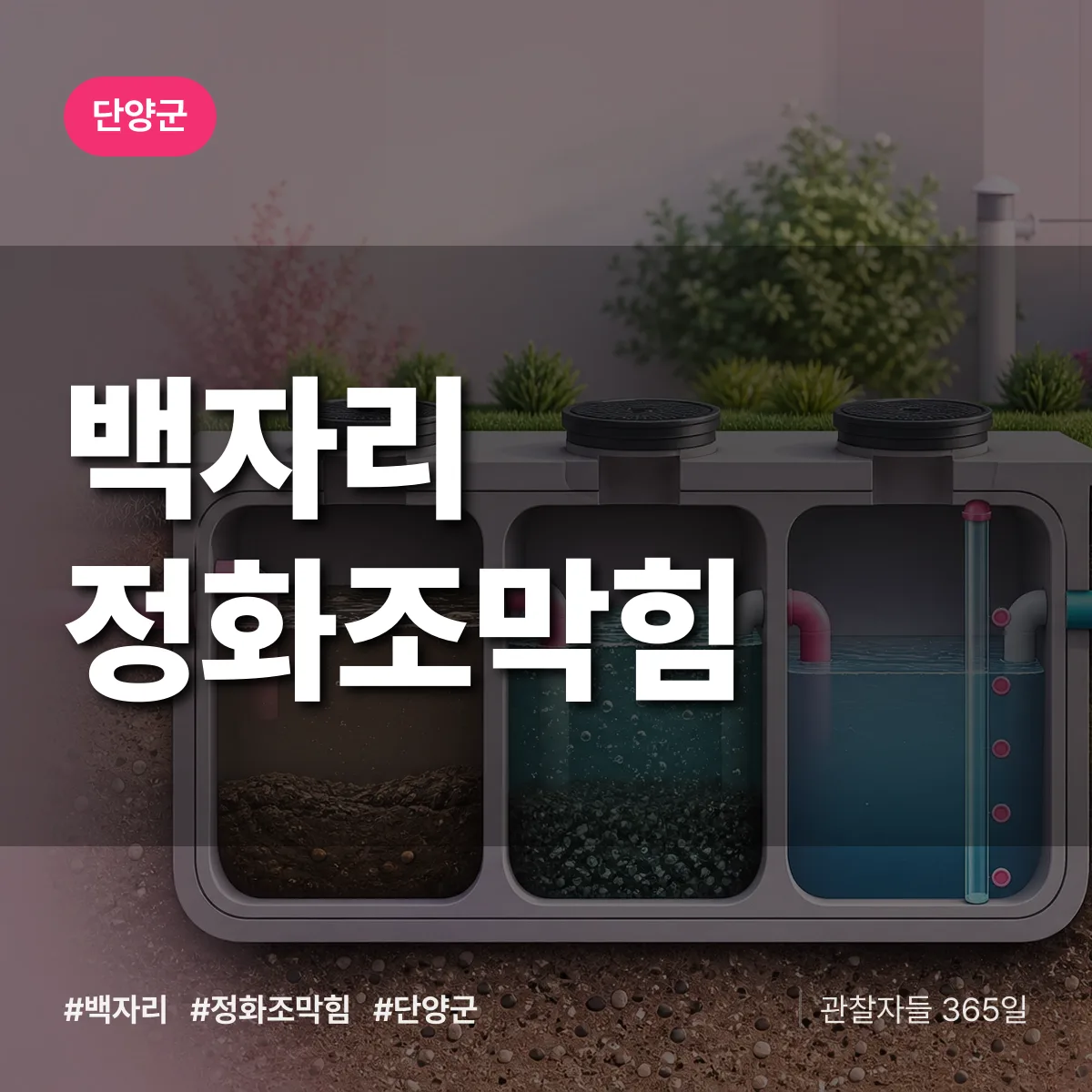 백자리 정화조막힘 배너