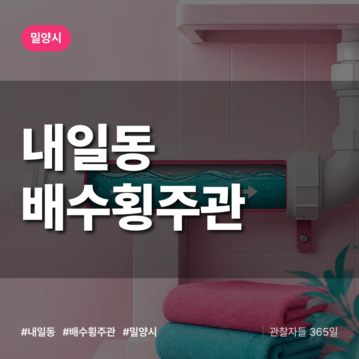 내일동 배수횡주관 배너