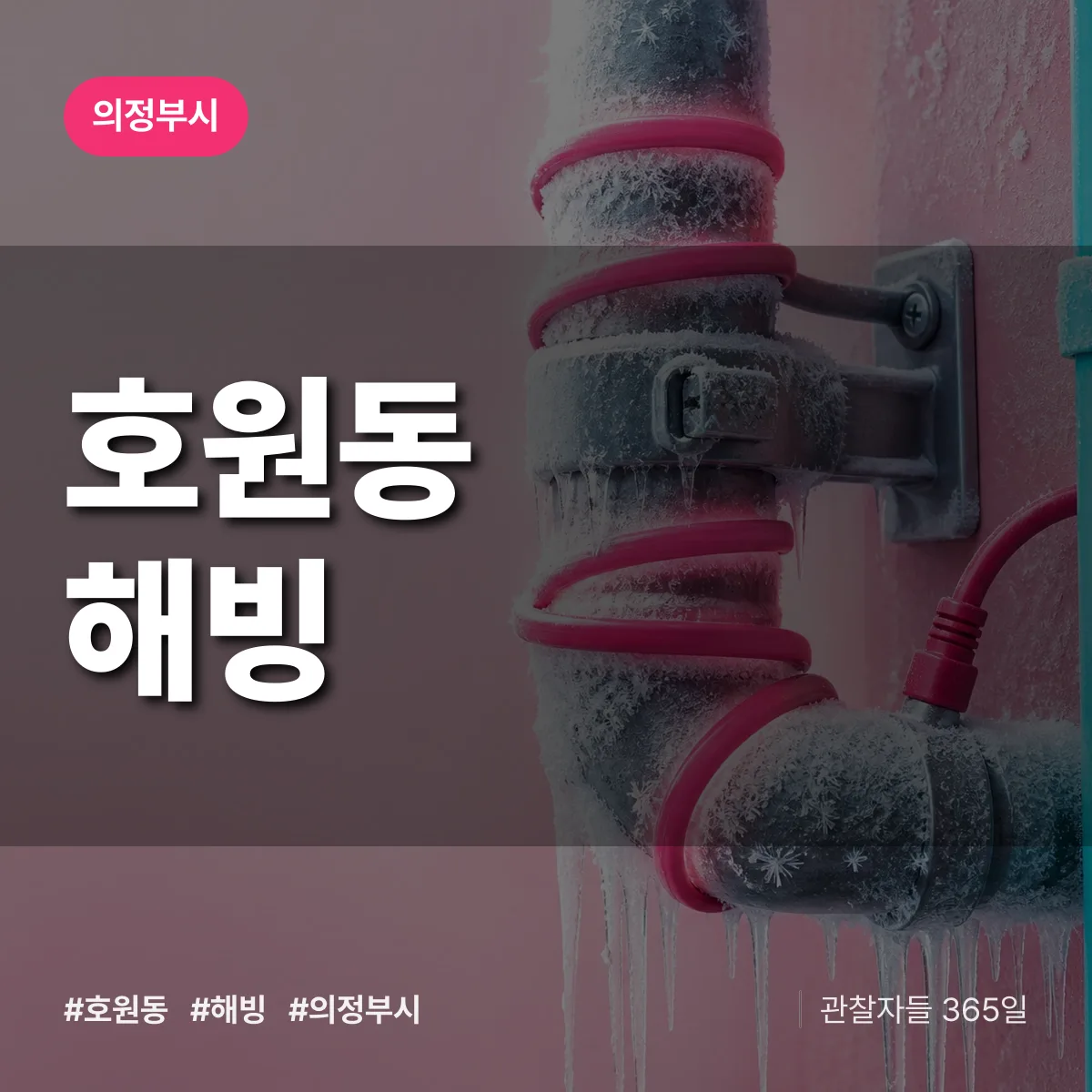 호원동 해빙 배너