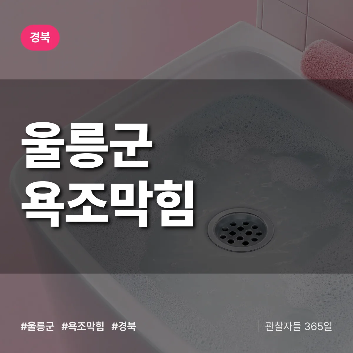 경북 울릉군 욕조막힘 배너