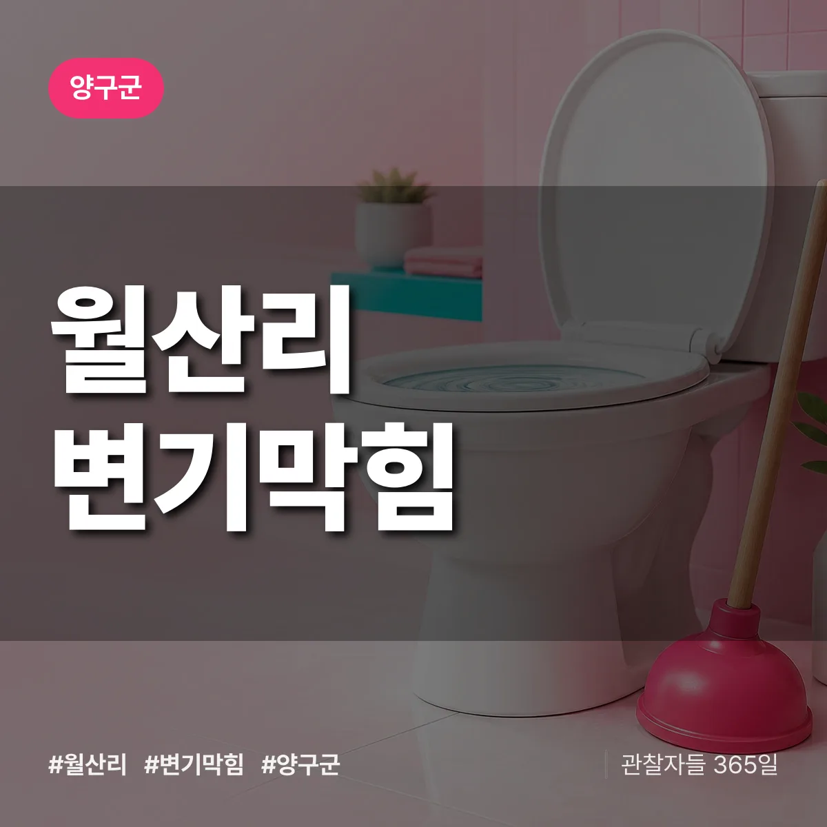 강원 양구군 월산리 변기막힘 배너