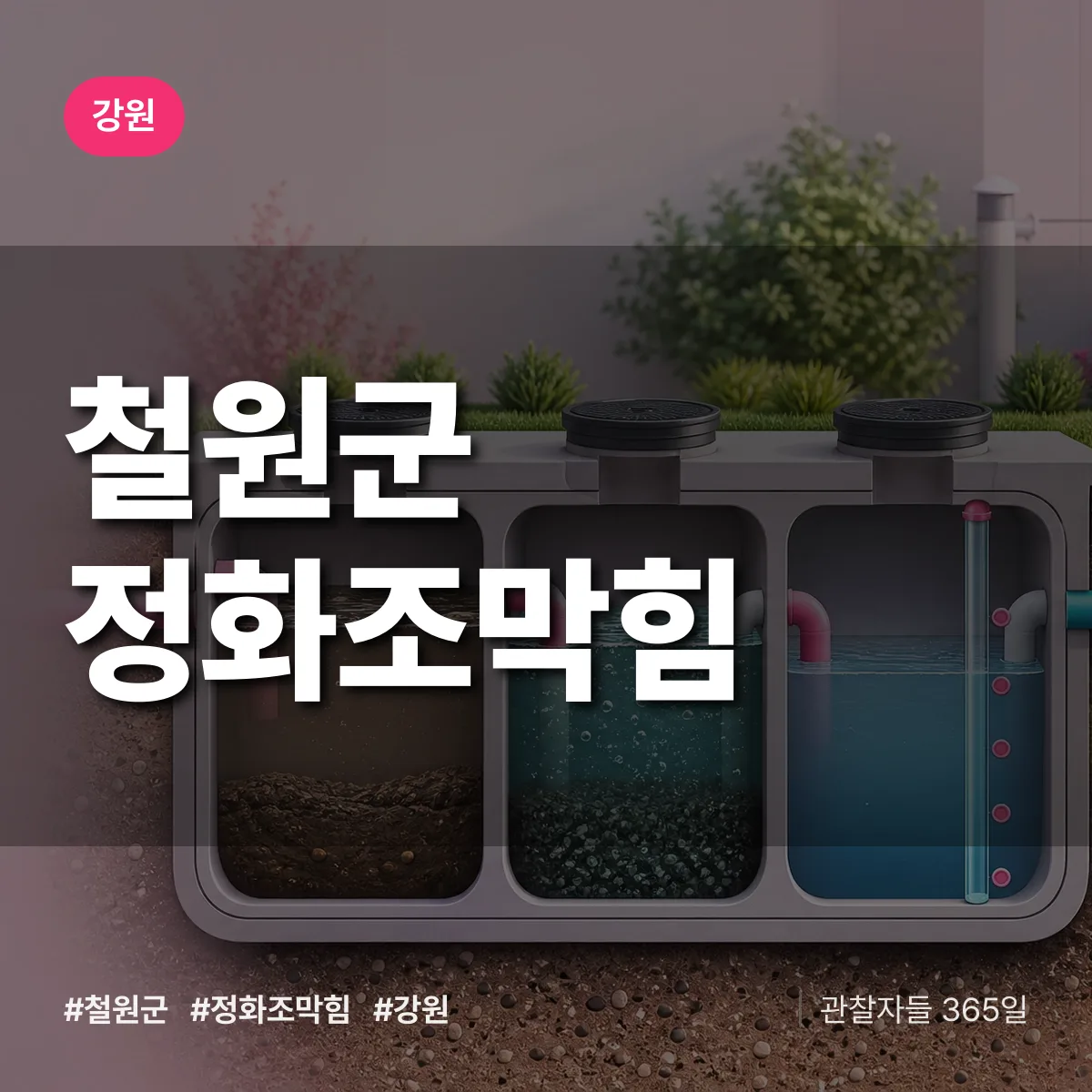 강원 철원군 정화조막힘 배너
