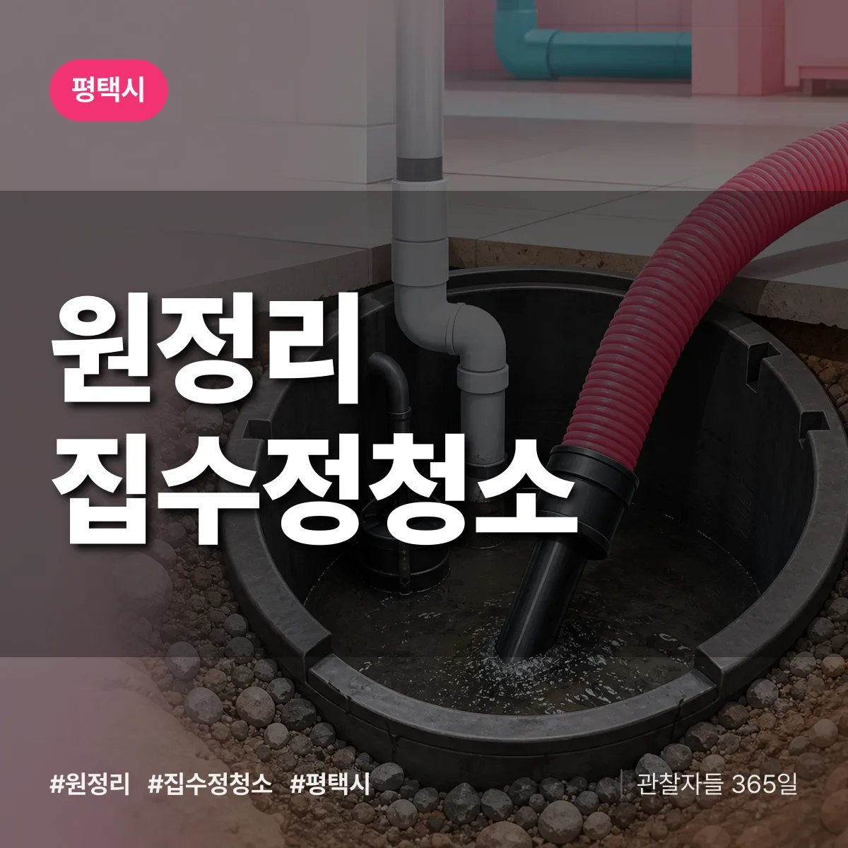원정리 집수정청소 배너
