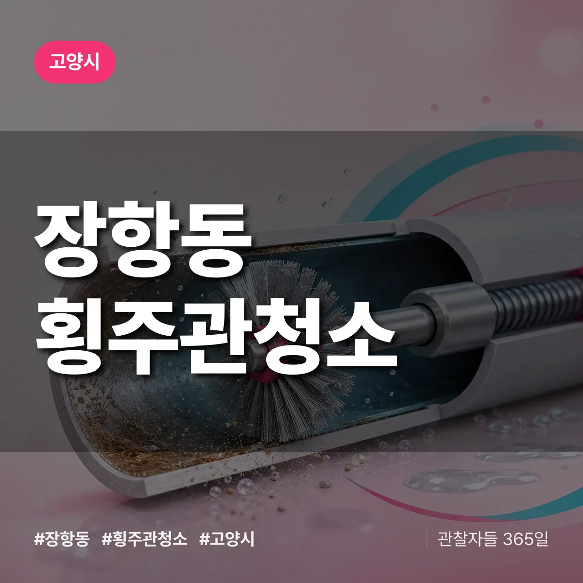 고양시 장항동 횡주관청소 상담 배너