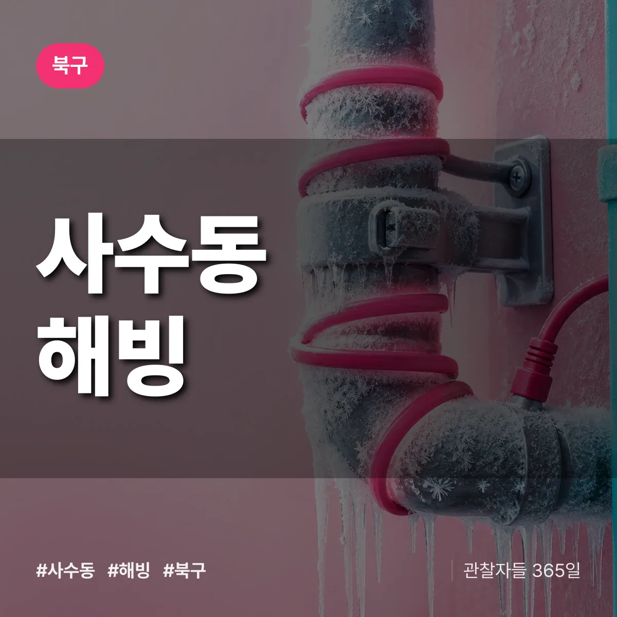 사수동 해빙 배너