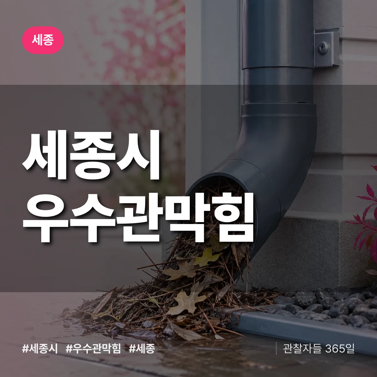 세종시 우수관막힘 배너
