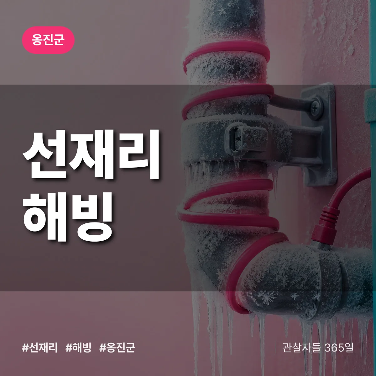 선재리 해빙 배너