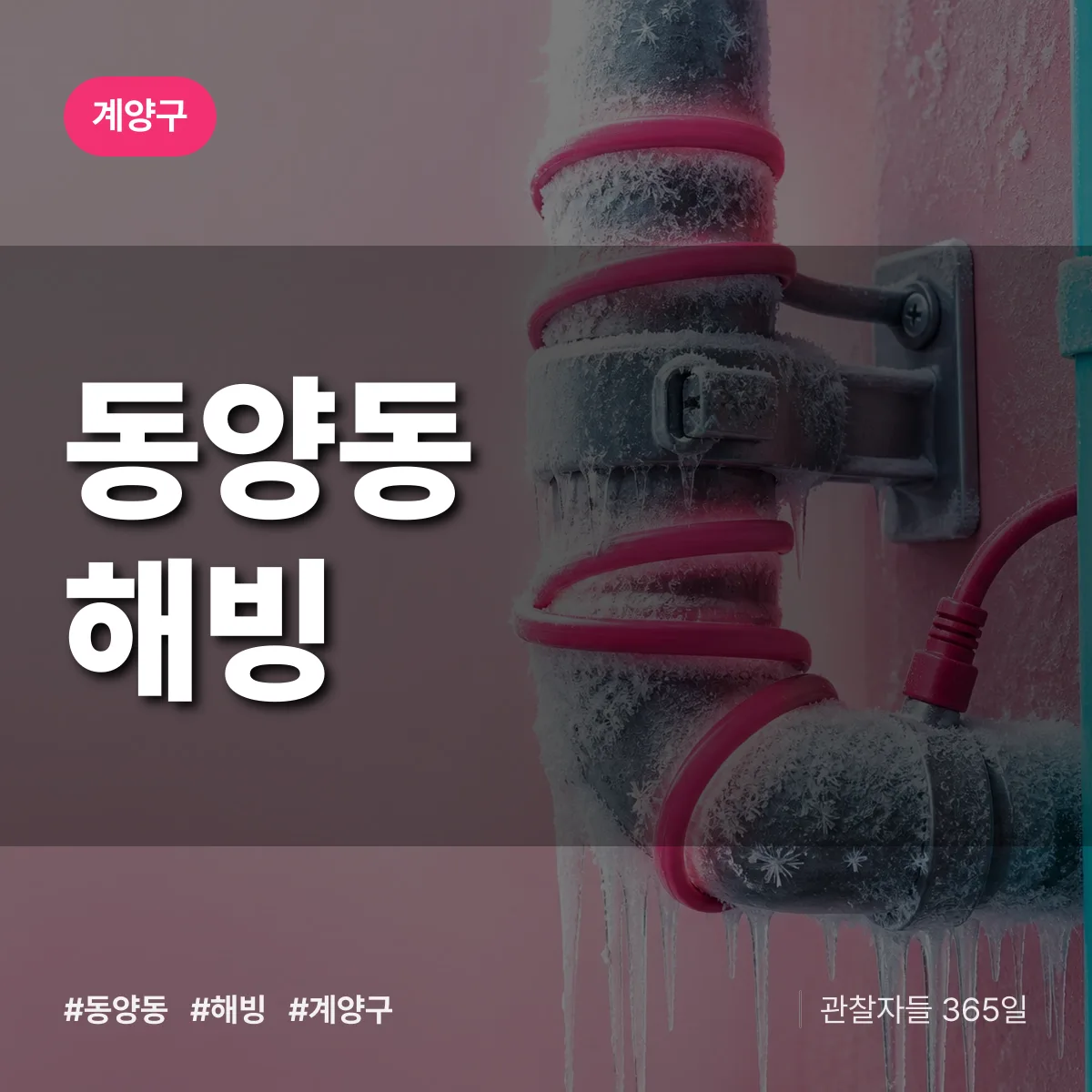 동양동 해빙 배너