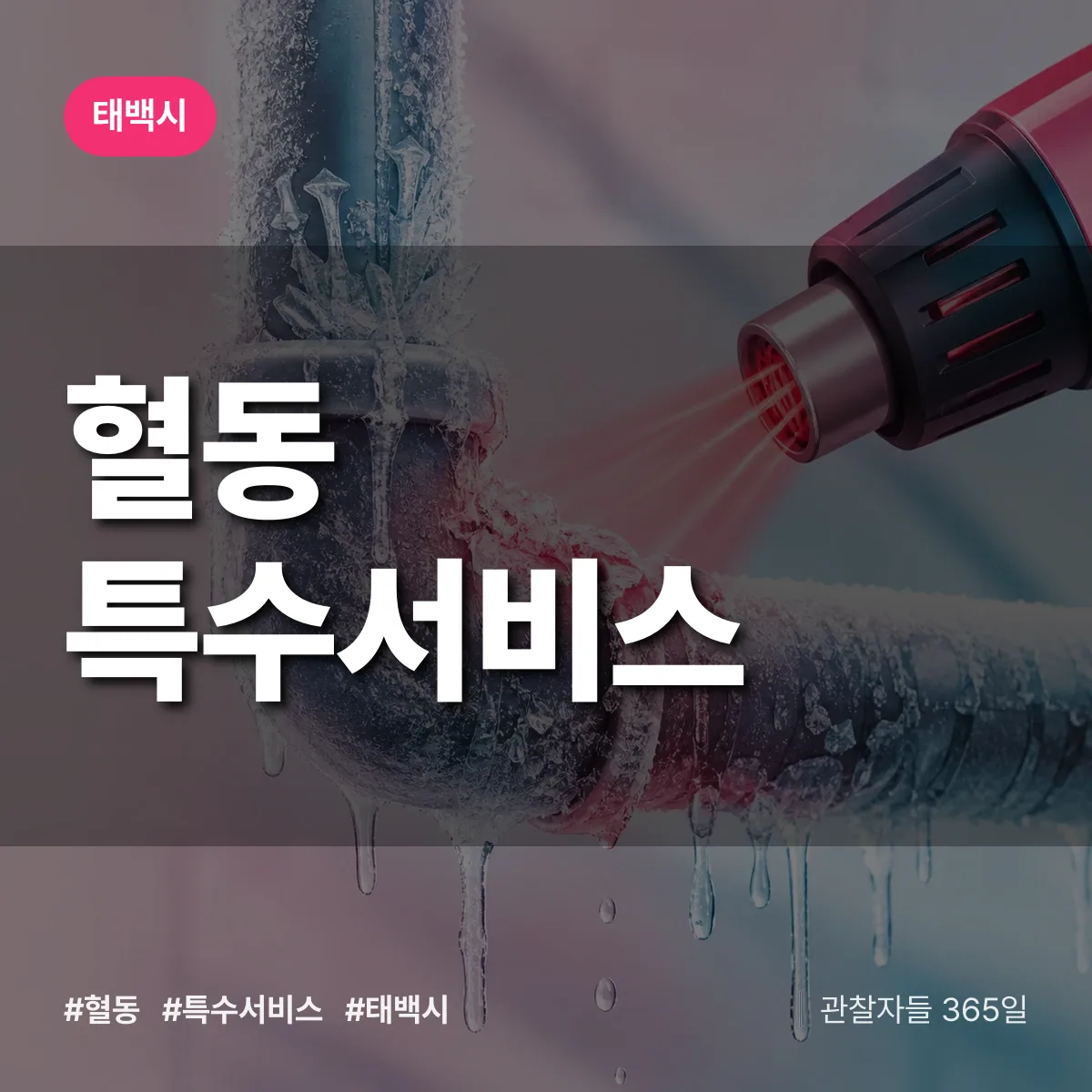 태백시 혈동 특수서비스 상담 배너