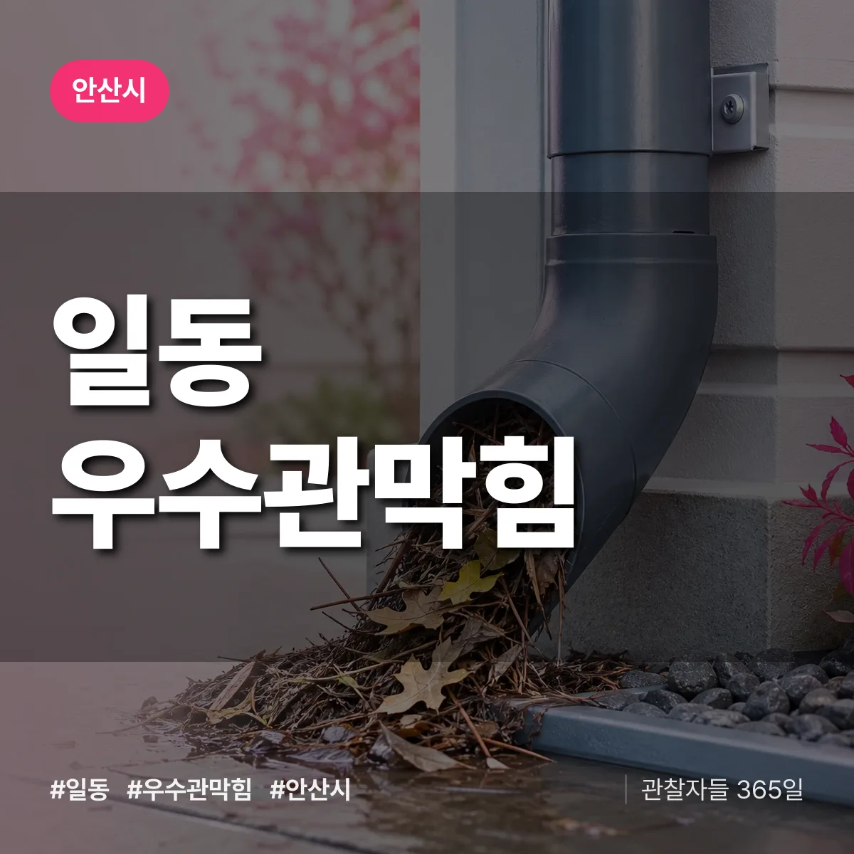 안산시 일동 우수관막힘 상담 배너