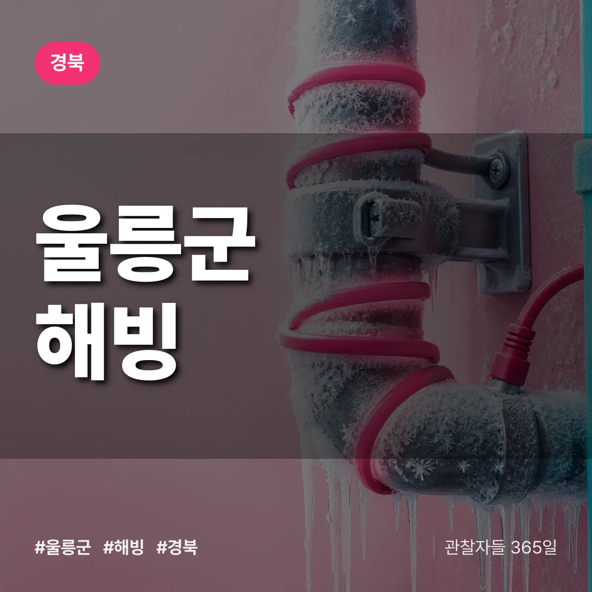 경북 울릉군 해빙 배너