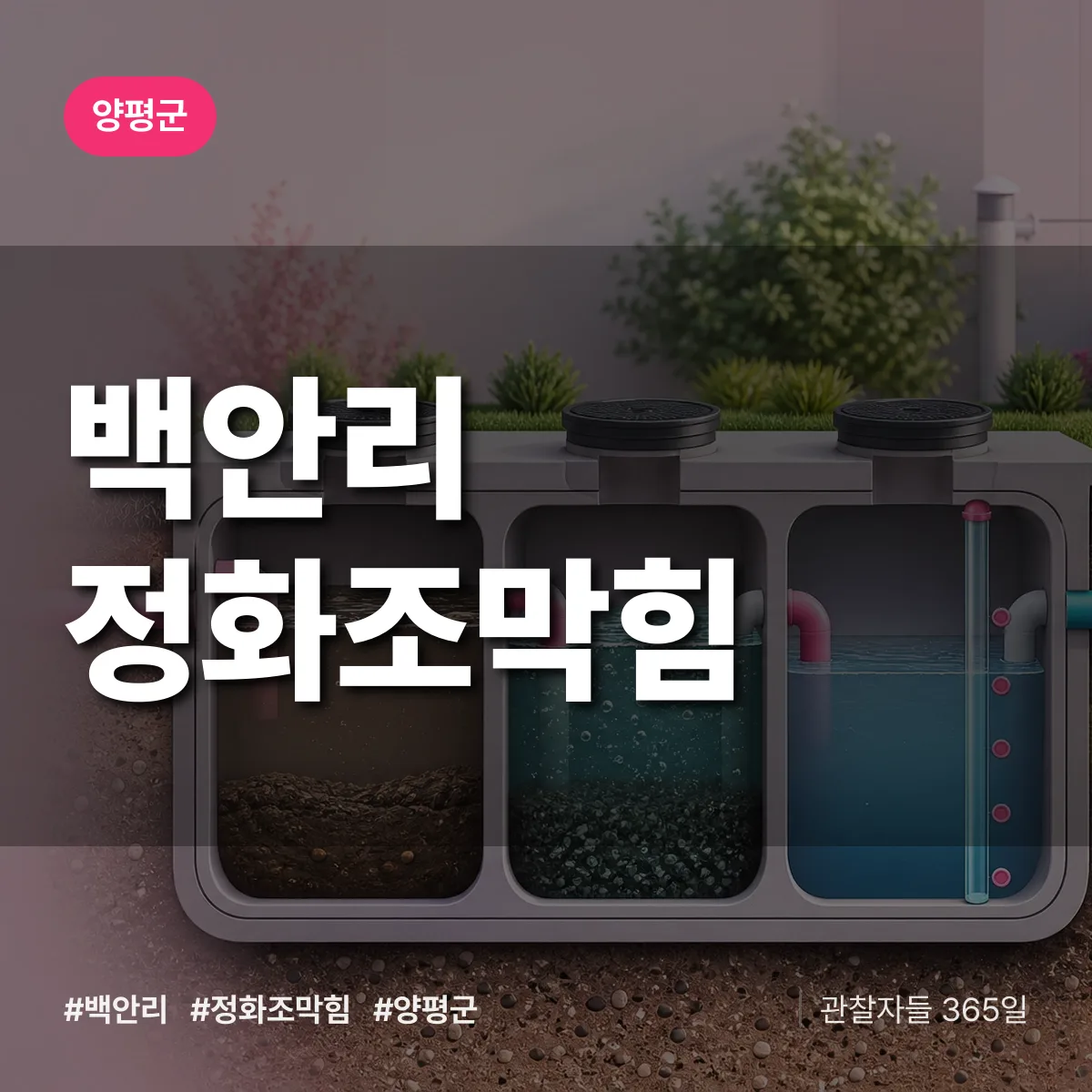 백안리 정화조막힘 배너
