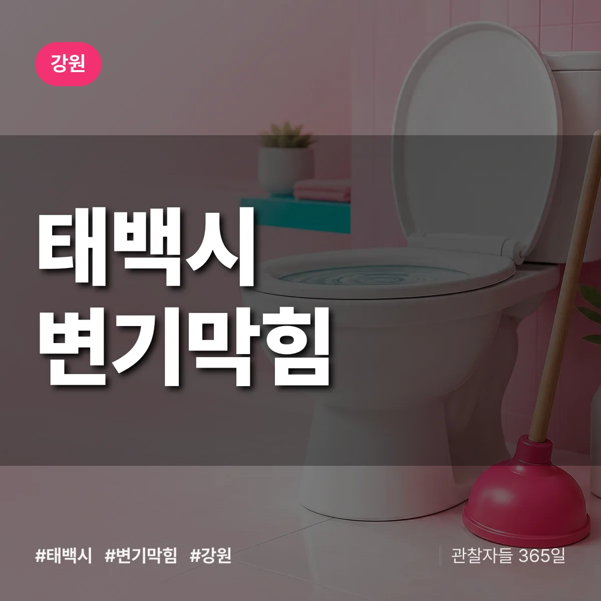 강원 태백시 변기막힘 배너