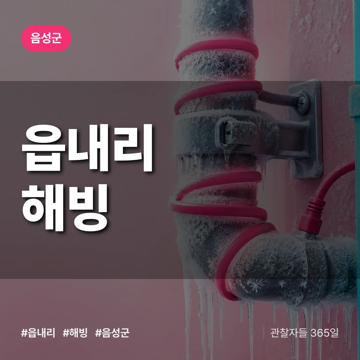 읍내리 해빙 배너