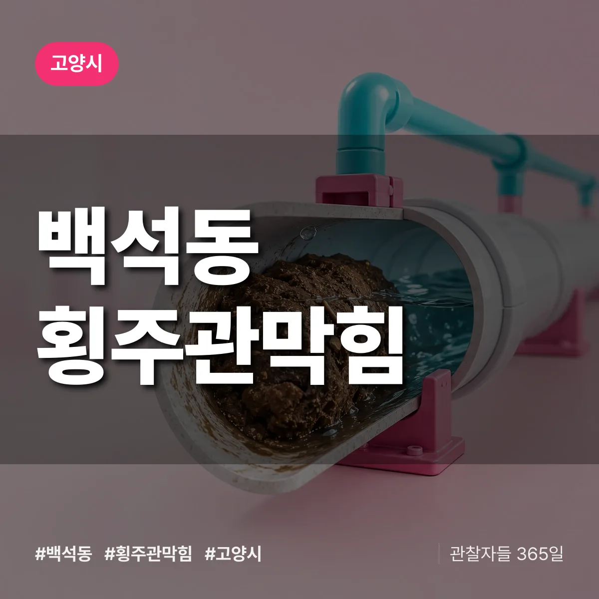 고양시 백석동 횡주관막힘 상담 배너