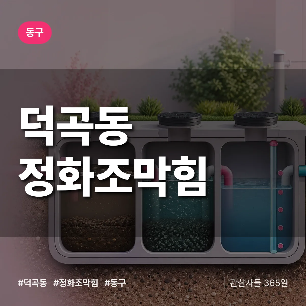 덕곡동 정화조막힘 배너