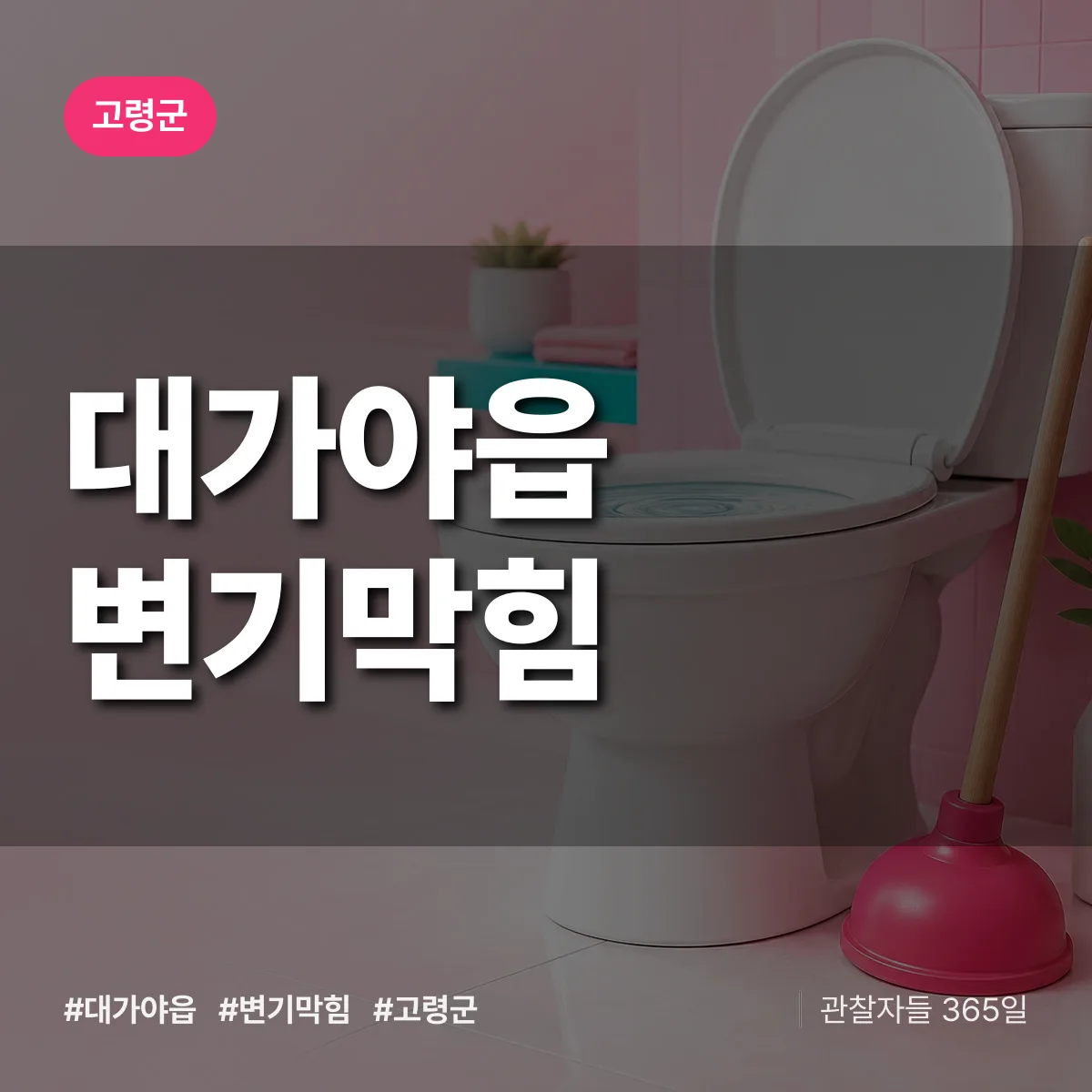 대가야읍 변기막힘 배너