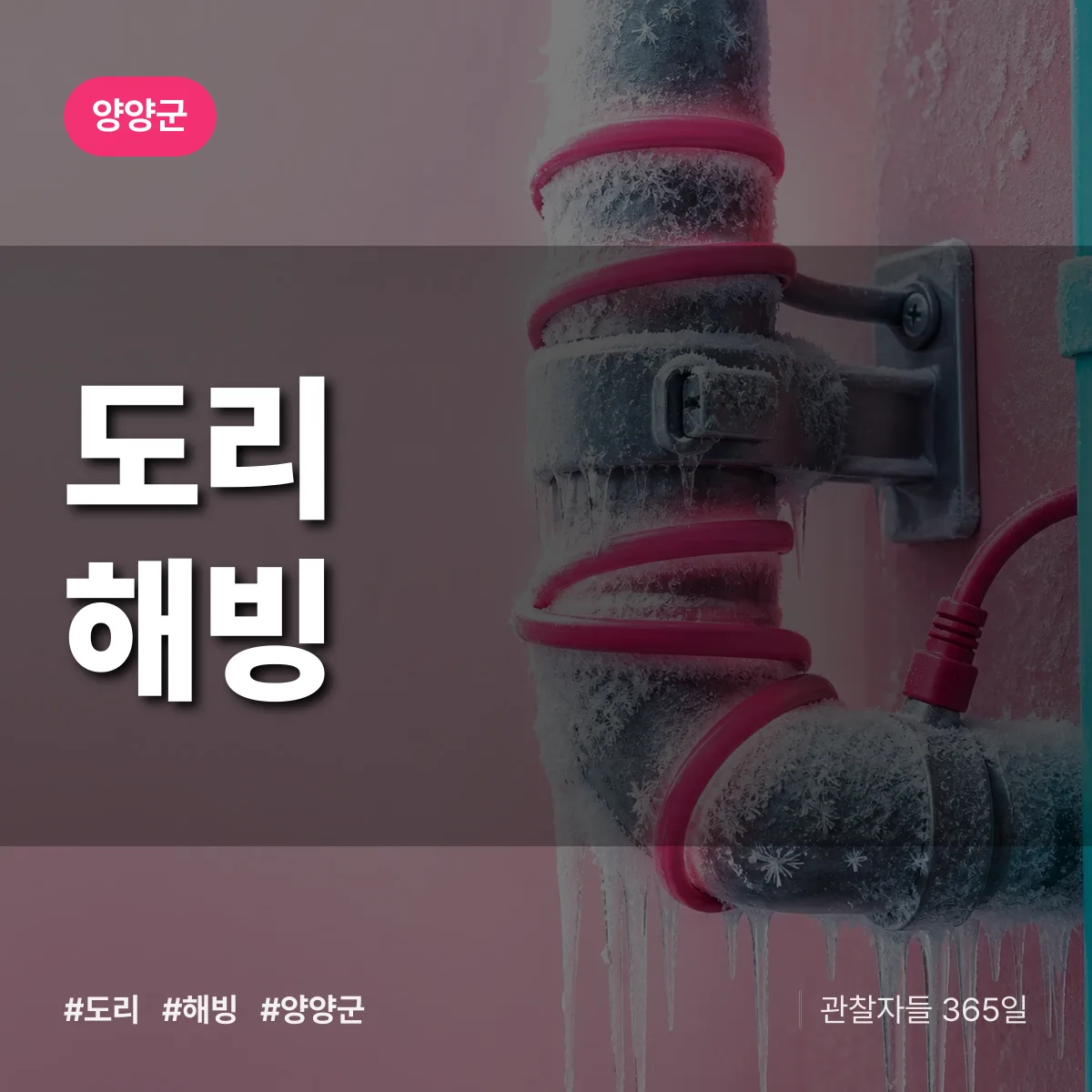 도리 해빙 배너
