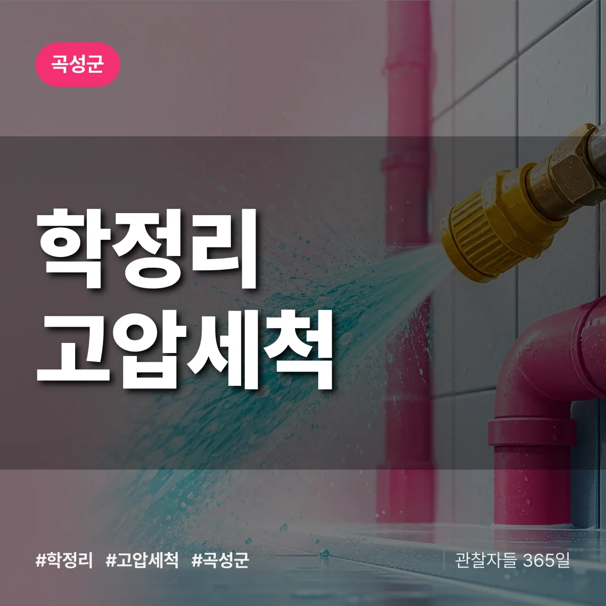 학정리 고압세척 배너