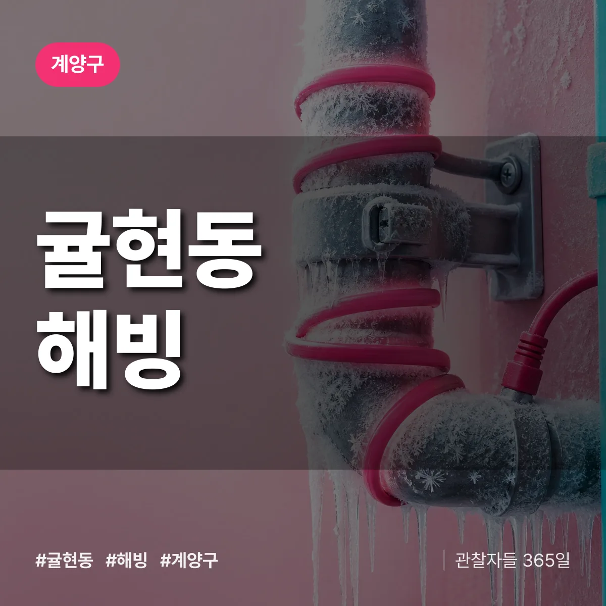 귤현동 해빙 배너
