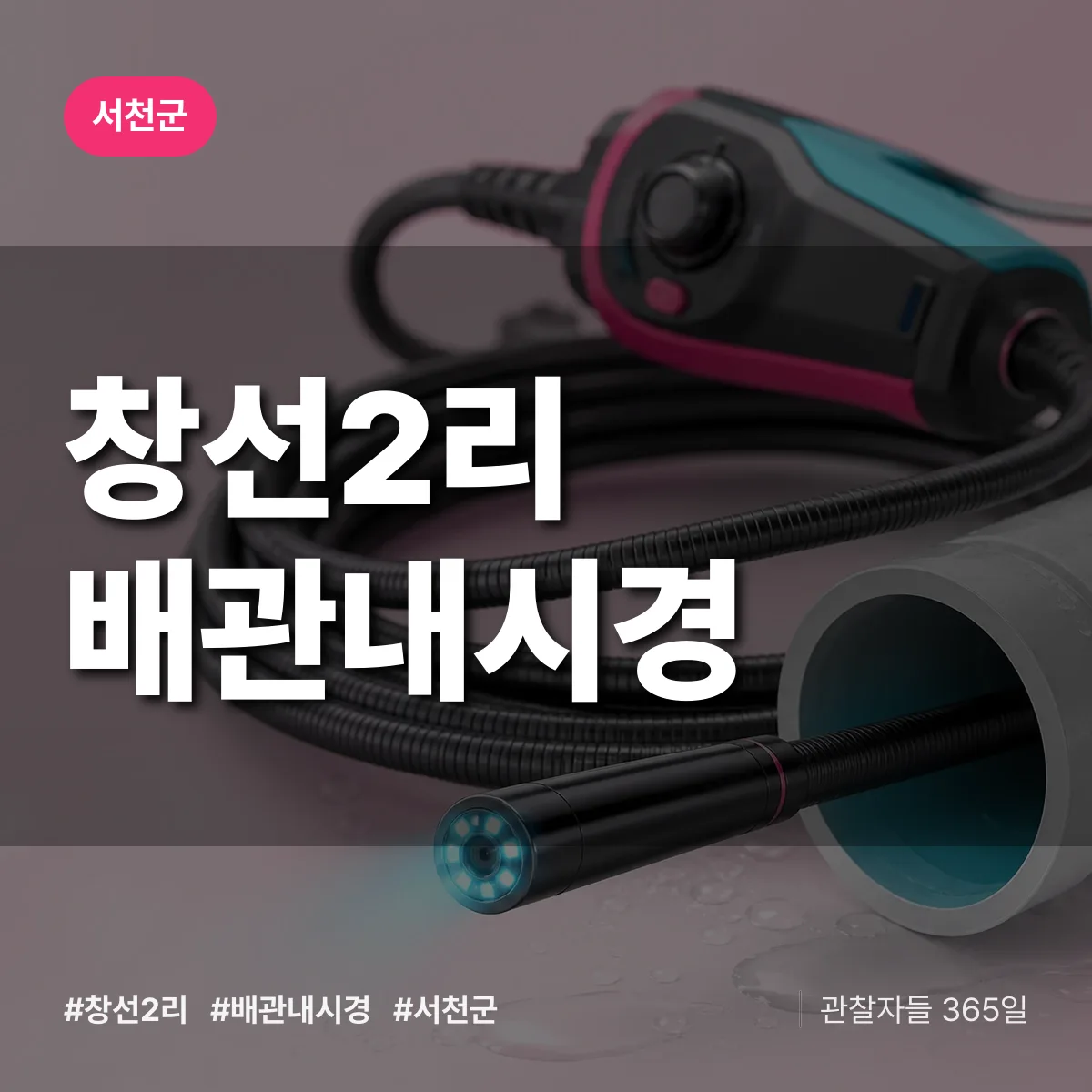 창선2리 배관내시경 배너
