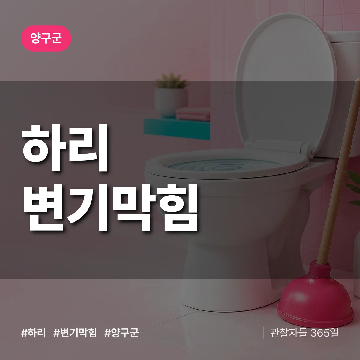 강원 양구군 하리 변기막힘 배너