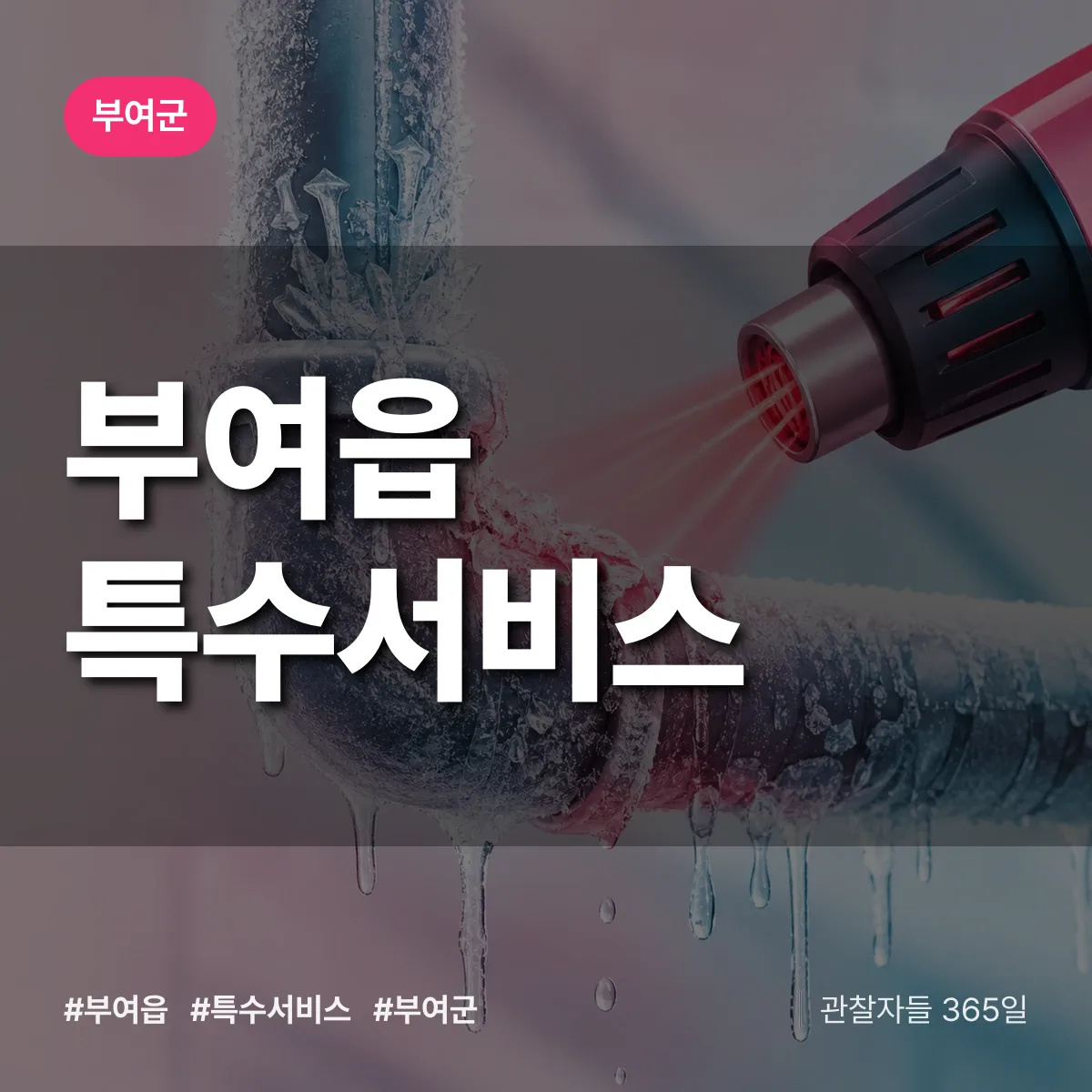 부여군 부여읍 특수서비스 상담 배너