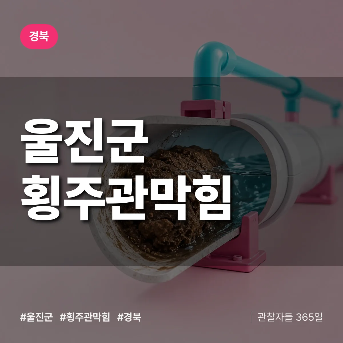 경북 울진군 횡주관막힘 배너