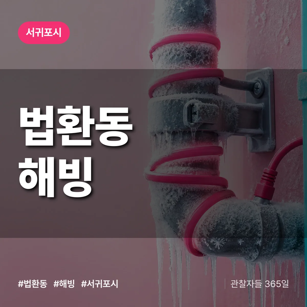 법환동 해빙 배너