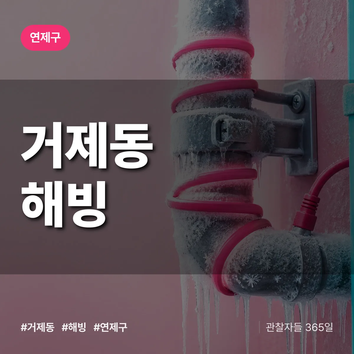 거제동 해빙 배너