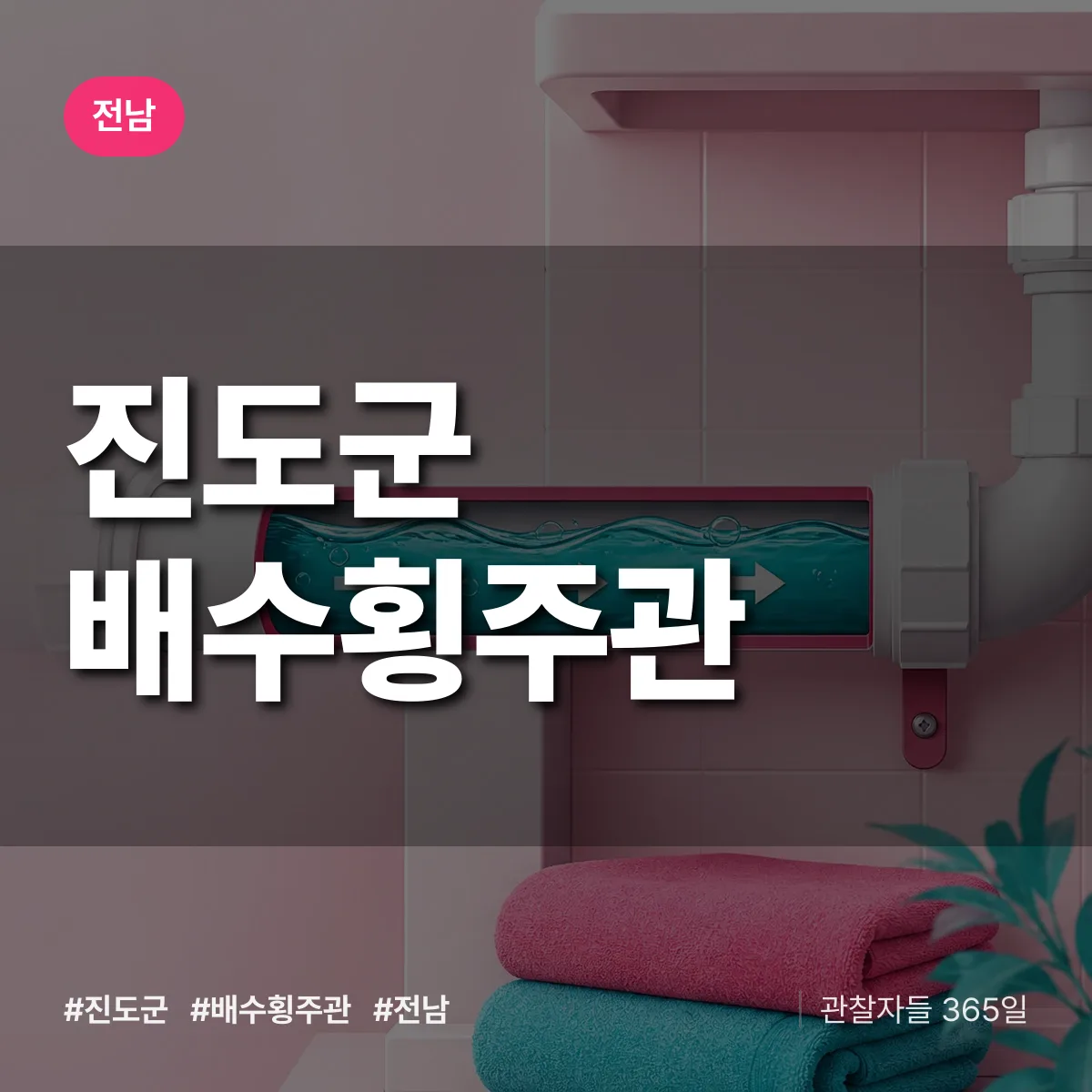 전남 진도군 배수횡주관 배너
