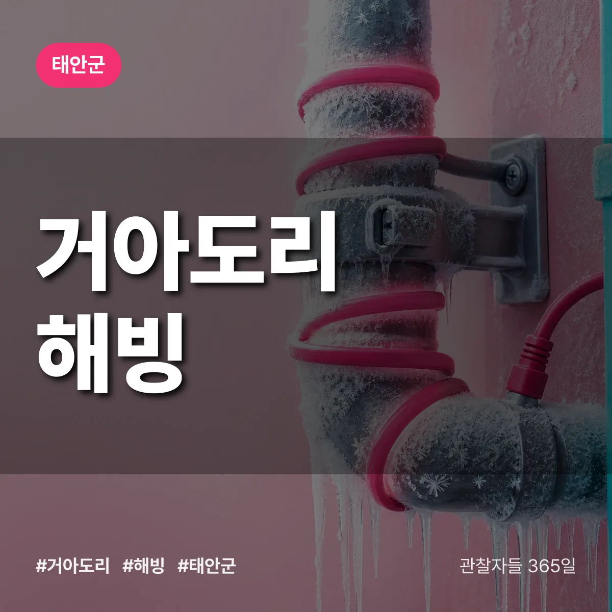 거아도리 해빙 배너