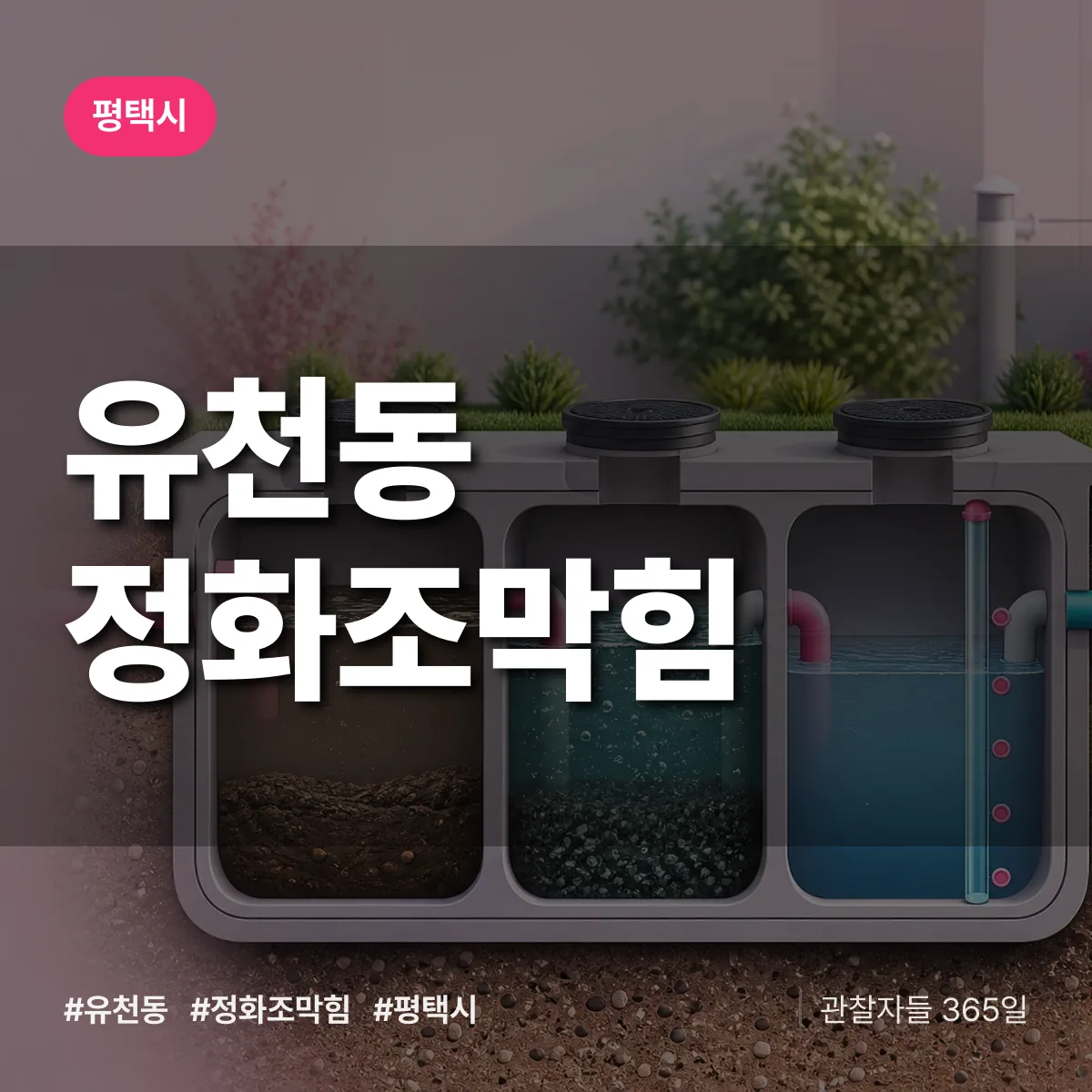 유천동 정화조막힘 배너