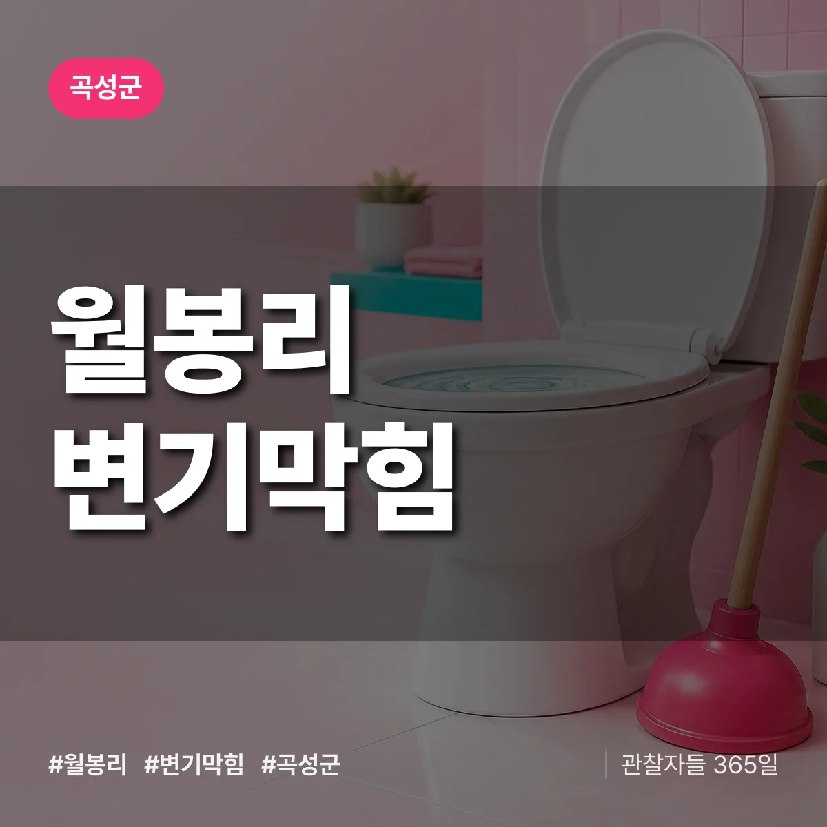 전남 곡성군 월봉리 변기막힘 배너