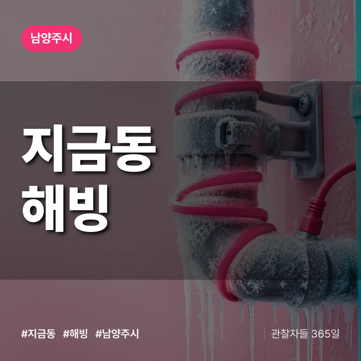 지금동 해빙 배너