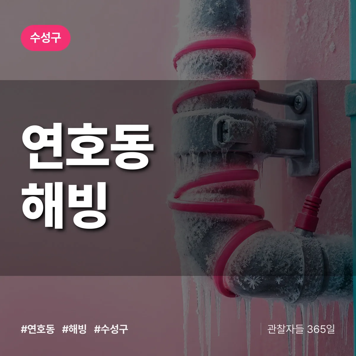 연호동 해빙 배너