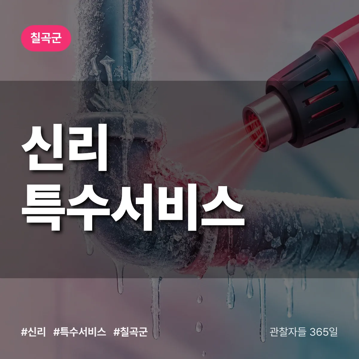 경북 칠곡군 신리 특수서비스 배너